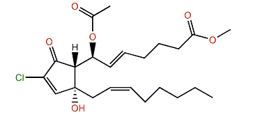 7-Acetoxy-7,8-dihydrochrolovulone II